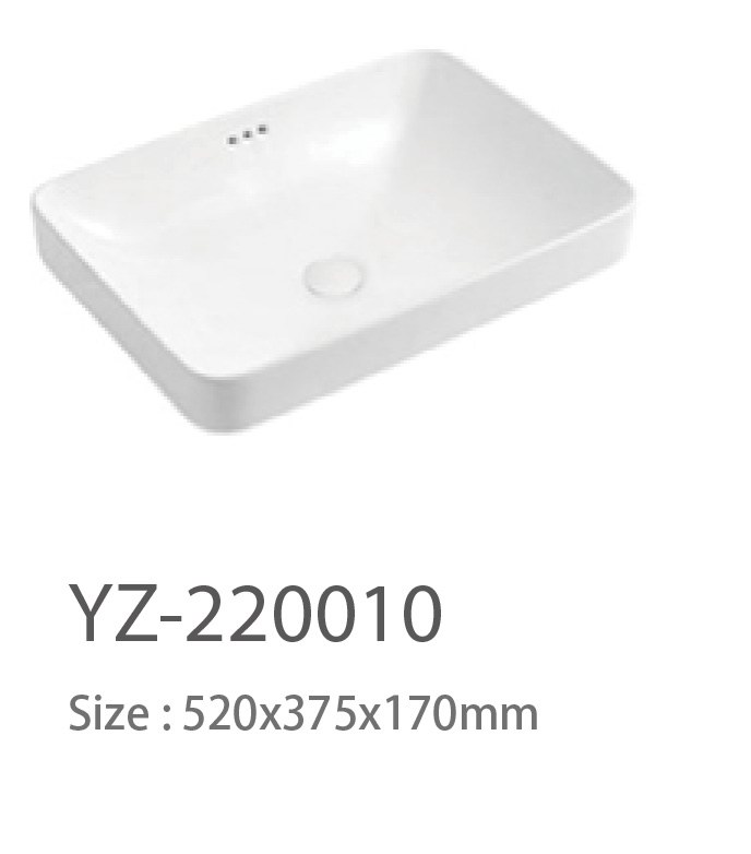 YZ-220010